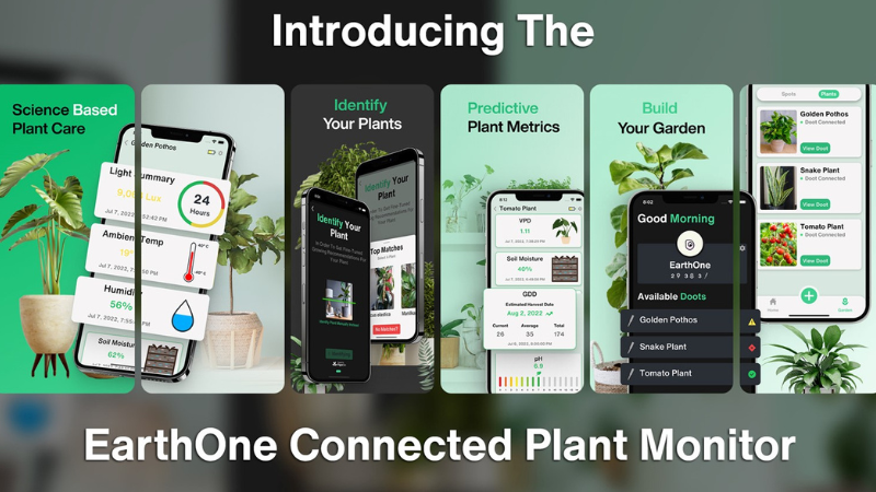 Introducing The EarthOne Connected Plant Monitor